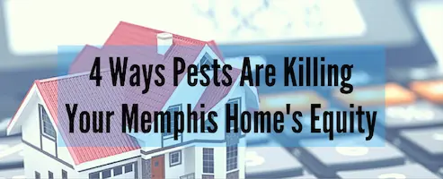 4 Ways Pests Are Killing Your Memphis Home's Equity - Inman-Murpgy Termite and Pest Control serving Millington, Tennessee