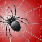 How to Get Rid of Spiders in Your House this Fall