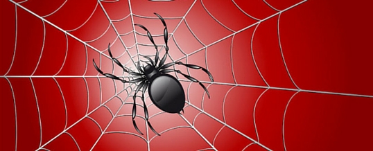 How to Get Rid of Spiders in Your House this Fall