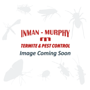 Fishing Spider Identification & Info  Inman-Murphy, Inc. - Pest Control &  Extermination Services