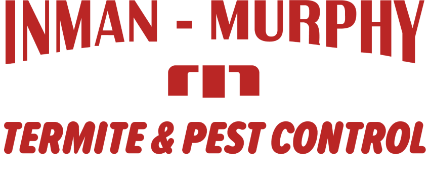 Fishing Spider Identification & Info  Inman-Murphy, Inc. - Pest Control &  Extermination Services