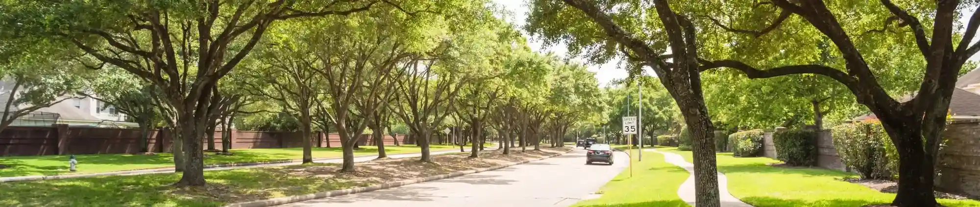 Suburban neighborhood street lined with trees  - Keep pests away from your home with Inman-Murphy, Inc.