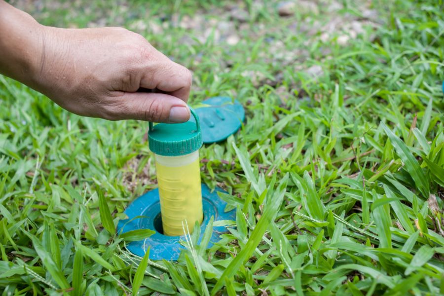 termite baiting system being applied in the ground