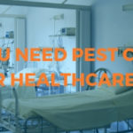 Why You Need Pest Control for your Healthcare or Medical Facility