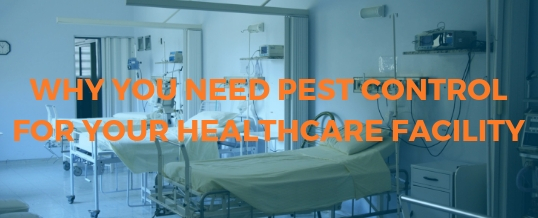 Why You Need Pest Control for your Healthcare or Medical Facility