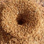 How to Find an Ant Nest: 11 Common Places Where Ants Hide