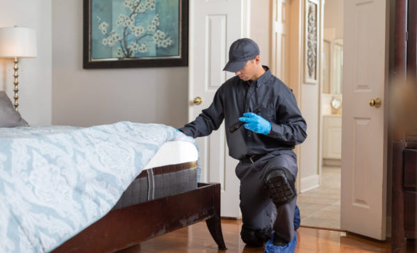 Bed Bug Control Services in Millington, Tennessee by Inman Murphy Termite & Pest Control