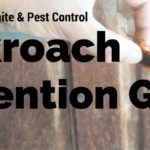 Memphis cockroach control and prevention