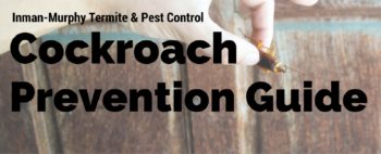 Memphis cockroach control and prevention