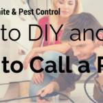 when is it ok to diy vs professional pest control