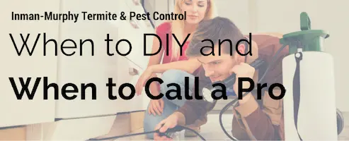 When to DIY and When to Call a Pro graphic - Inman-Murphy Termite and Pest Control serving Millington, Tennessee