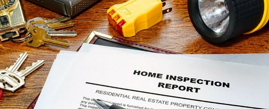 home inspection for pest control in memphis