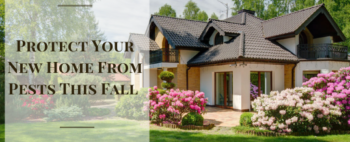 How to Protect Your New Home From Pests This Fall in Memphis TN