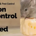 pest control myths explained