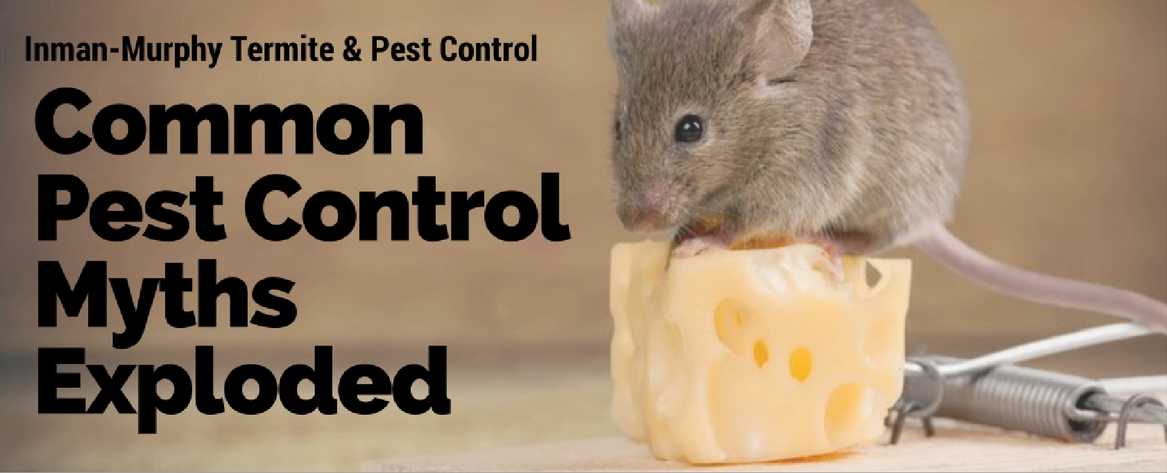 pest control myths explained