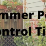 Summer Pest Control Tips - Inman-Murphy Pest Termite and Pest Control serving Millington, Tennessee