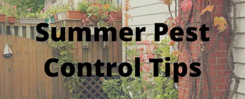 Summer Pest Control Tips - Inman-Murphy Pest Termite and Pest Control serving Millington, Tennessee