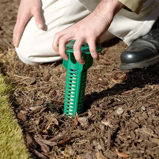 Technician pushing a termite trap into the ground outside | Inman-Murphy Termite & Pest Control serving Millington, Tennessee